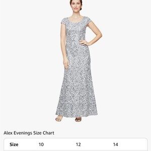 Alex Evenings Women's Silver light blue Maxi Dress 16P